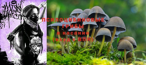каннабис Абаза
