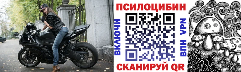 дарк нет состав  Великий Новгород  Галлюциногенные грибы Psilocybe 